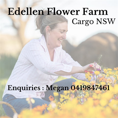 Edellen Flower Farm.png