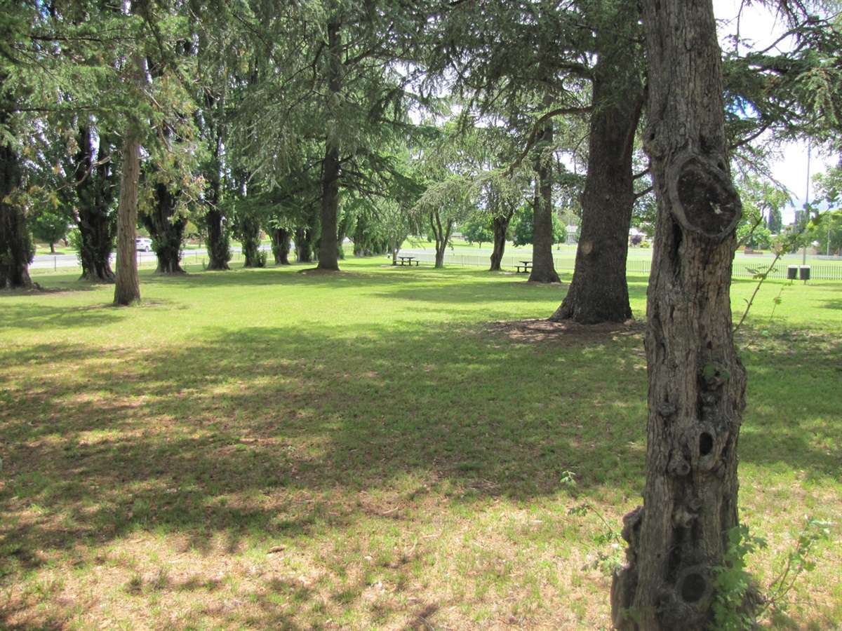 Crown Reserves grants to open soon Cabonne Council