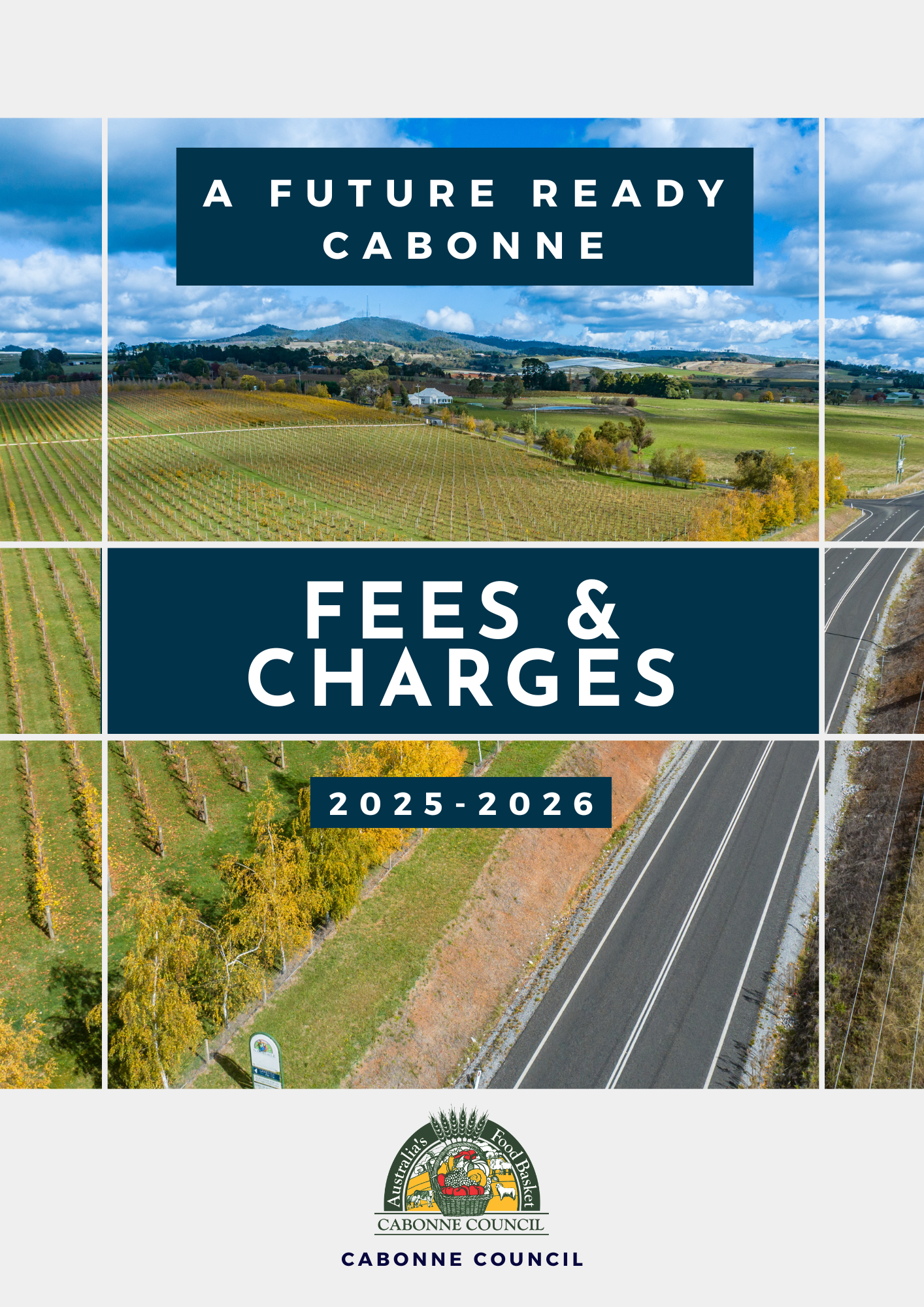 DRAFT Fees and Charges.png