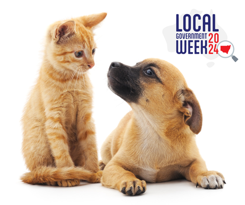 Free Cat & Dog Desexing Vouchers (2).png