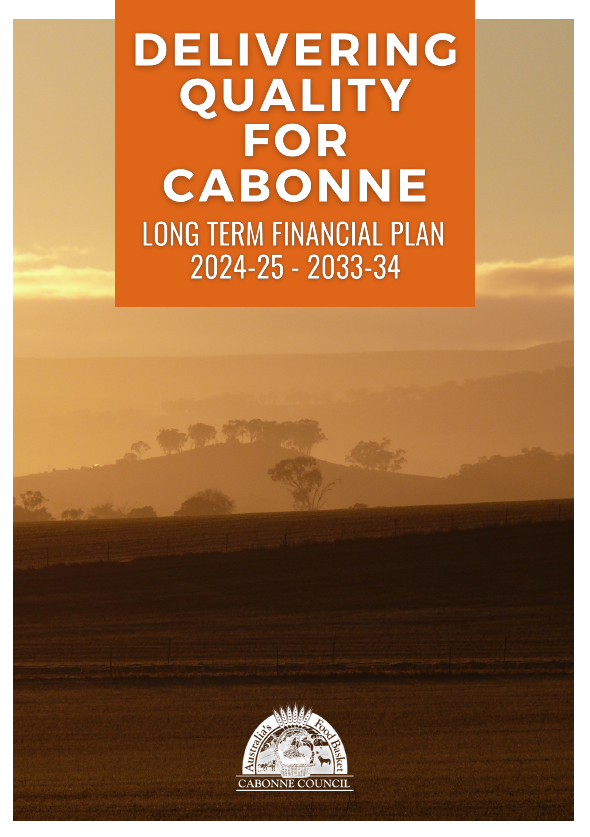 long term financial plan.PNG