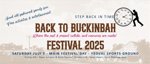back to buckinbah fest.jpg
