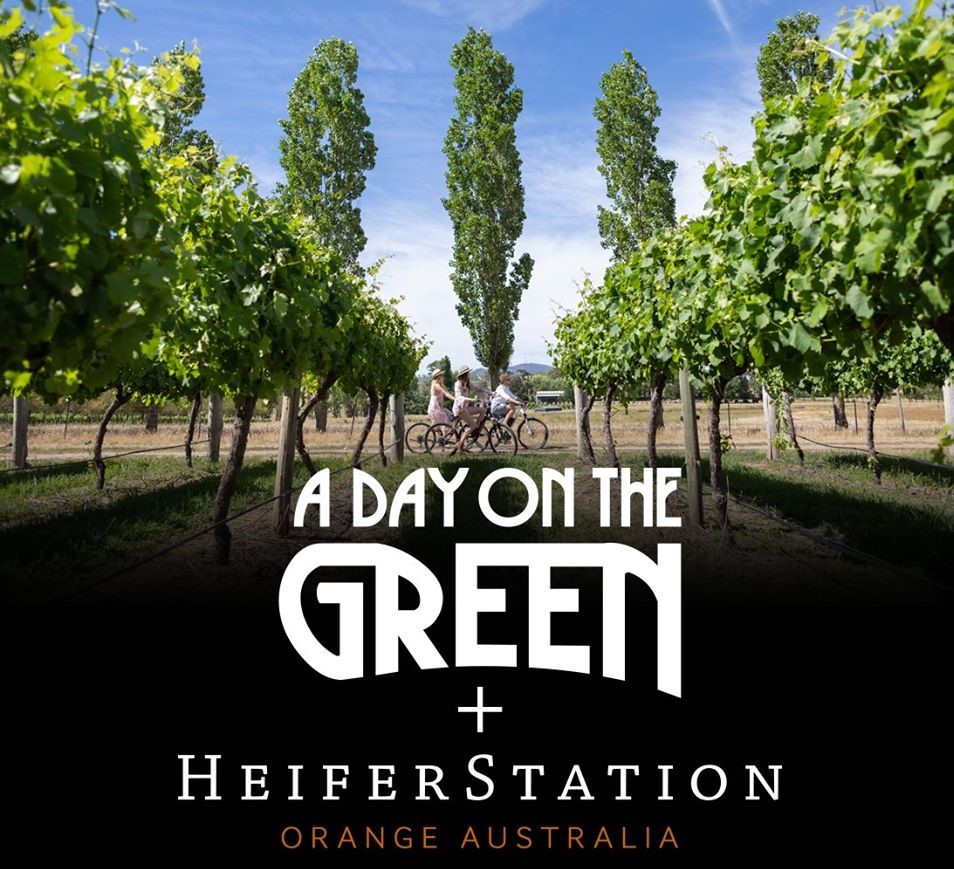 HS-day-on-the-green_2.jpg