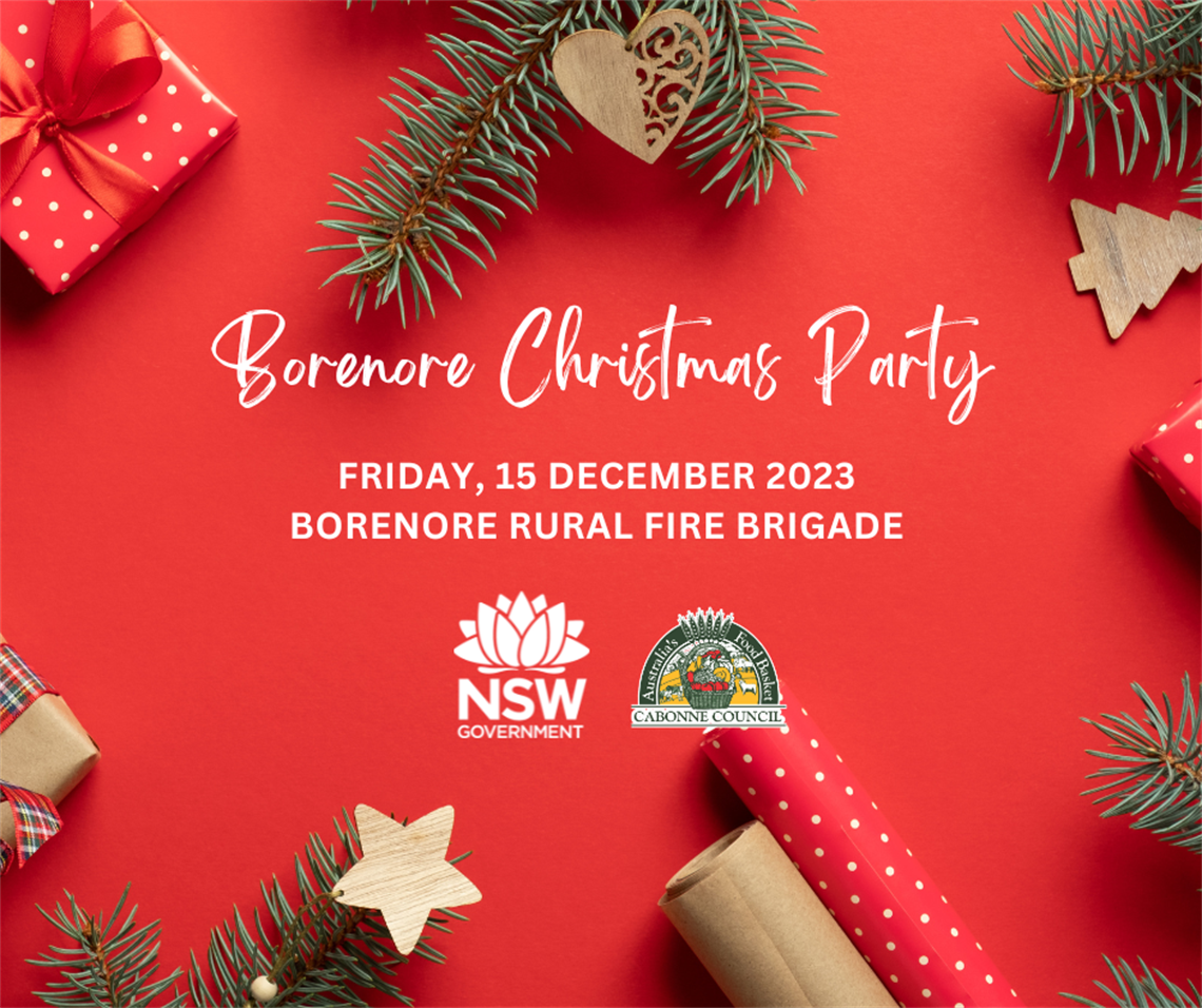 borenore christmas party.png