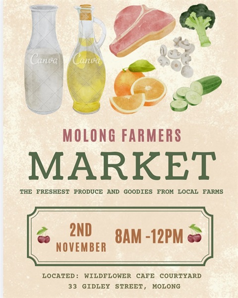 Molong Farmers Market.jpg