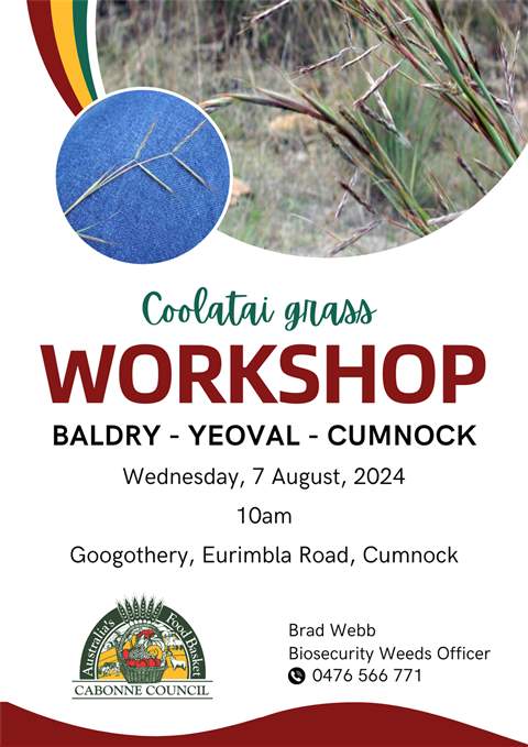 Weeds Workshop (1).png