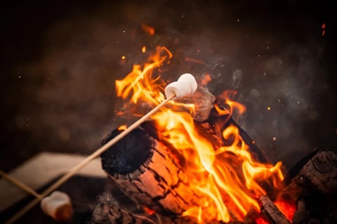 ToastingMarshmallows3.jpg